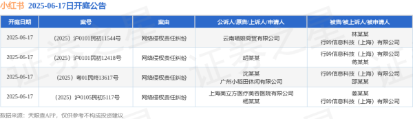 红启网 小红书作为被告/被上诉人的4起涉及网络侵权责任纠纷的诉讼将于2025年6月17日开庭