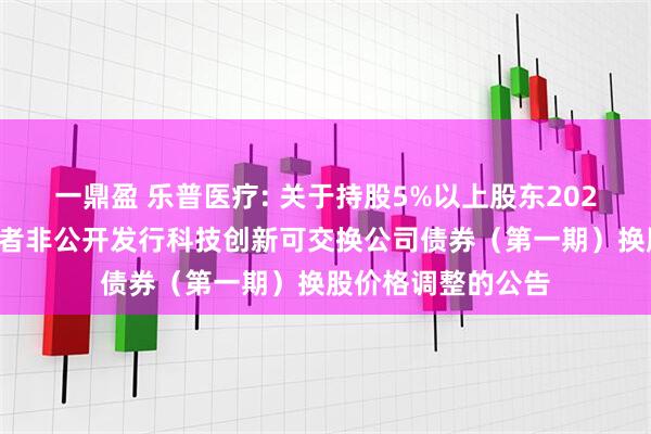 一鼎盈 乐普医疗: 关于持股5%以上股东2024年面向专业投资者非公开发行科技创新可交换公司债券（第一期）换股价格调整的公告