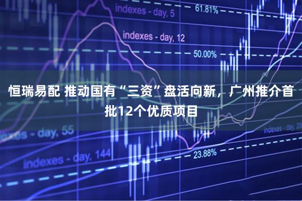 恒瑞易配 推动国有“三资”盘活向新，广州推介首批12个优质项目