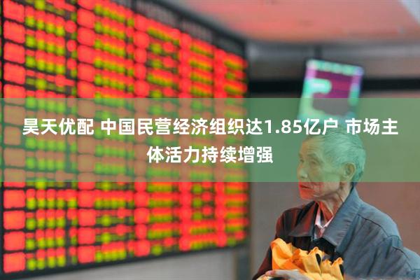 昊天优配 中国民营经济组织达1.85亿户 市场主体活力持续增强