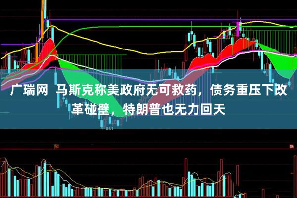 广瑞网  马斯克称美政府无可救药，债务重压下改革碰壁，特朗普也无力回天