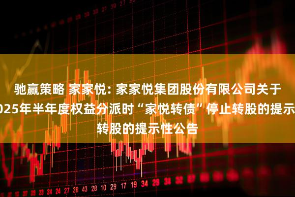 驰赢策略 家家悦: 家家悦集团股份有限公司关于实施2025年半年度权益分派时“家悦转债”停止转股的提示性公告