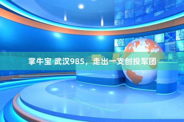 掌牛宝 武汉985,走出一支创投军团